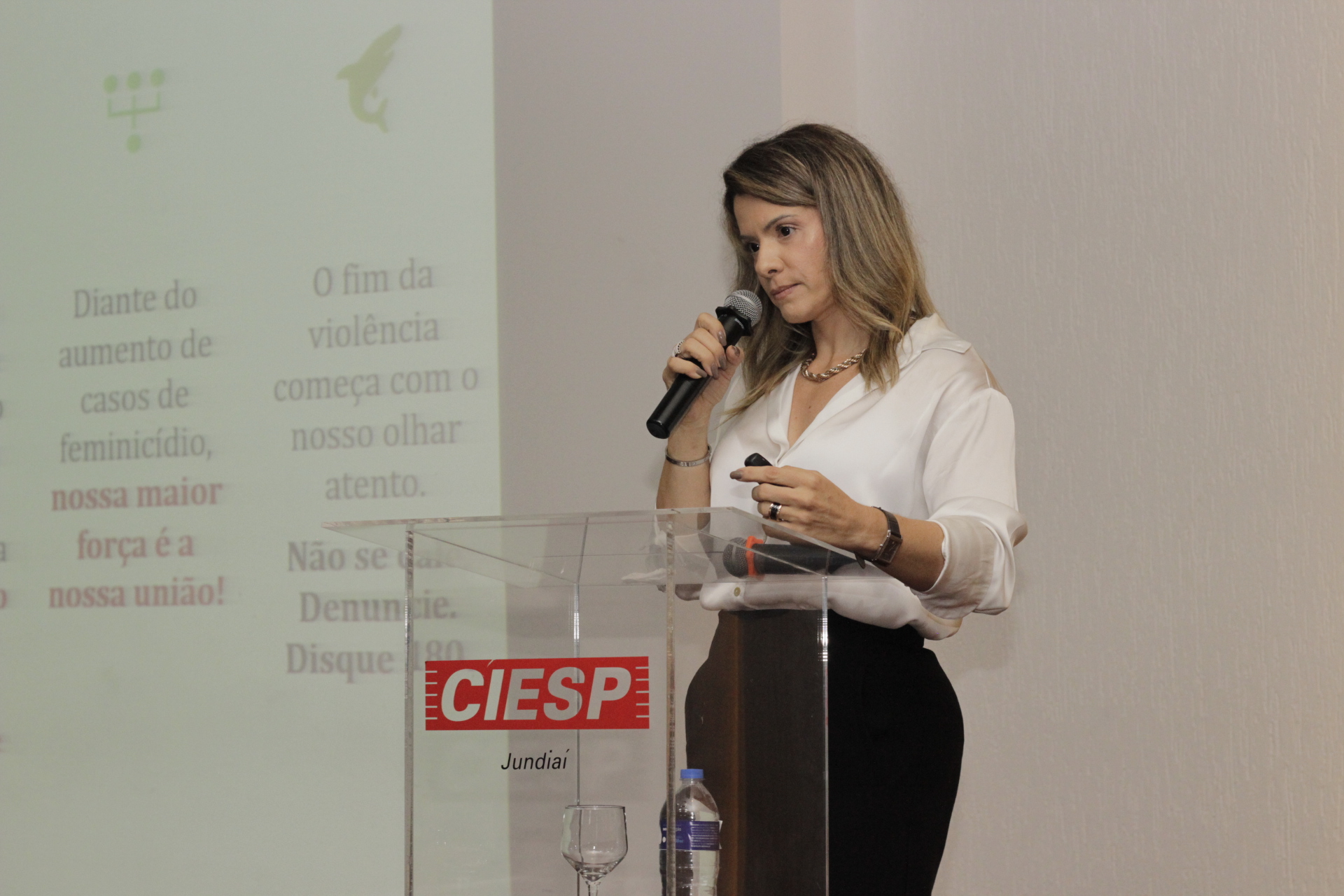 Imagem da C&acirc;mara