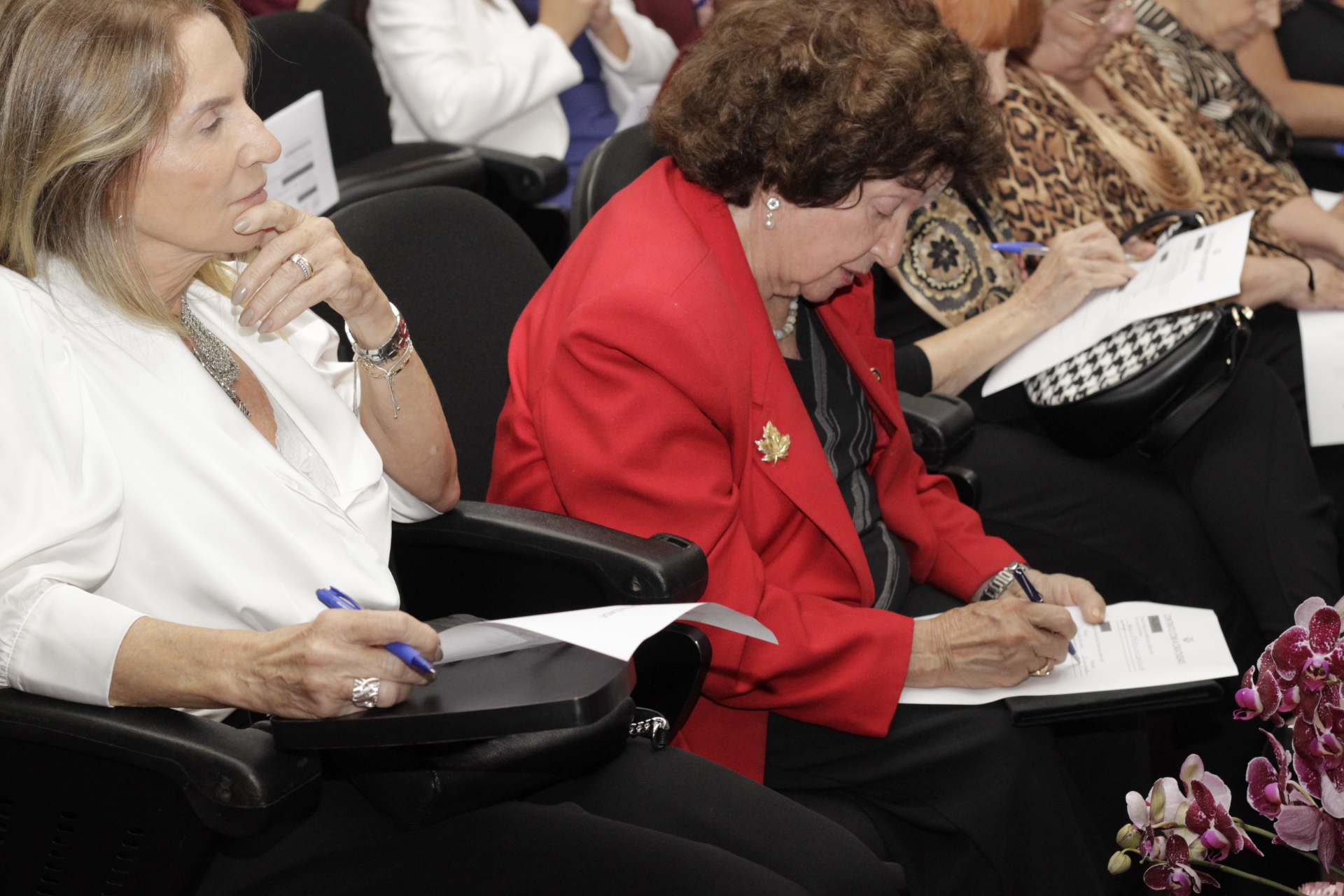 Imagem da C&acirc;mara