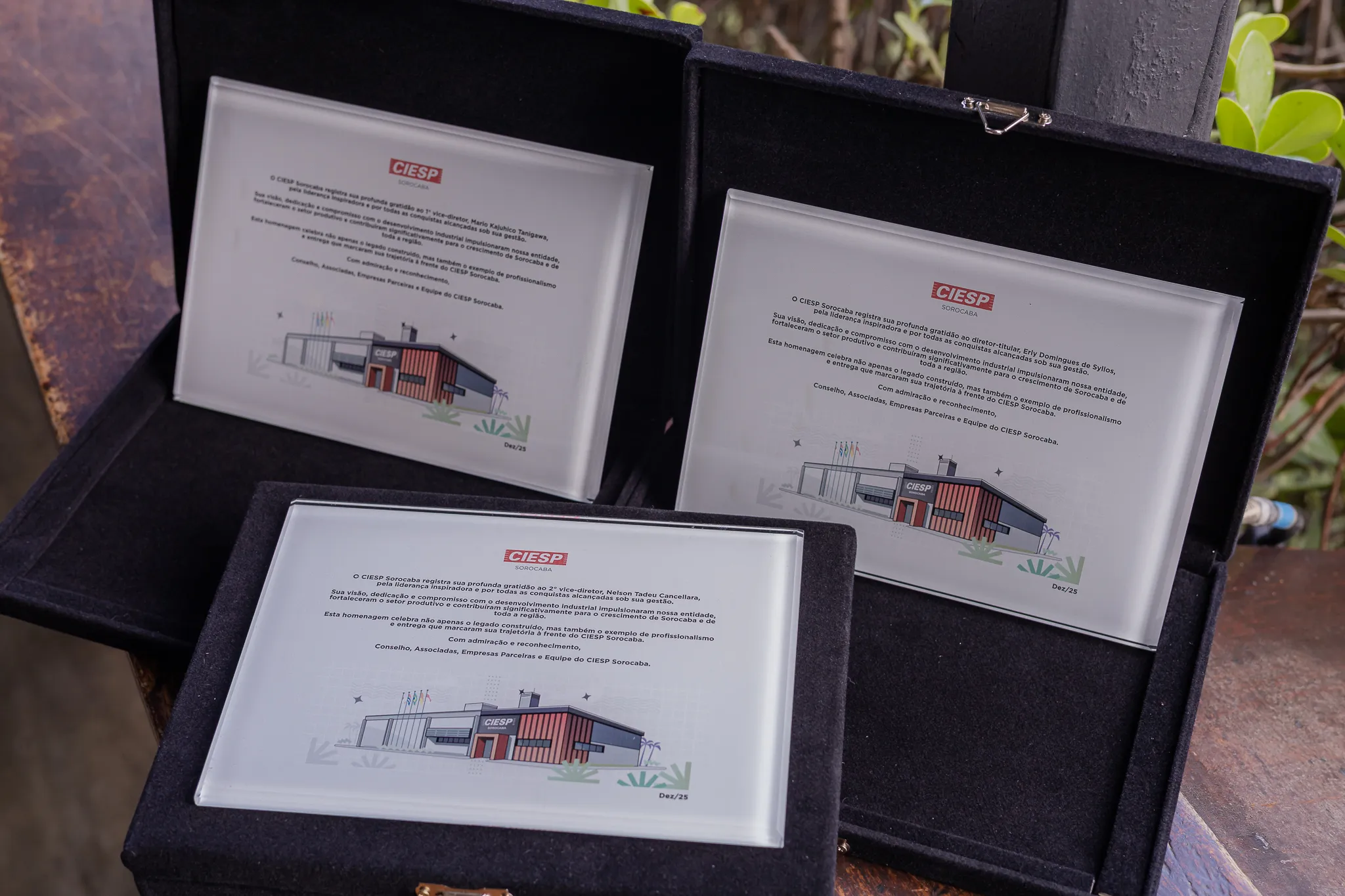 Imagem da C&acirc;mara